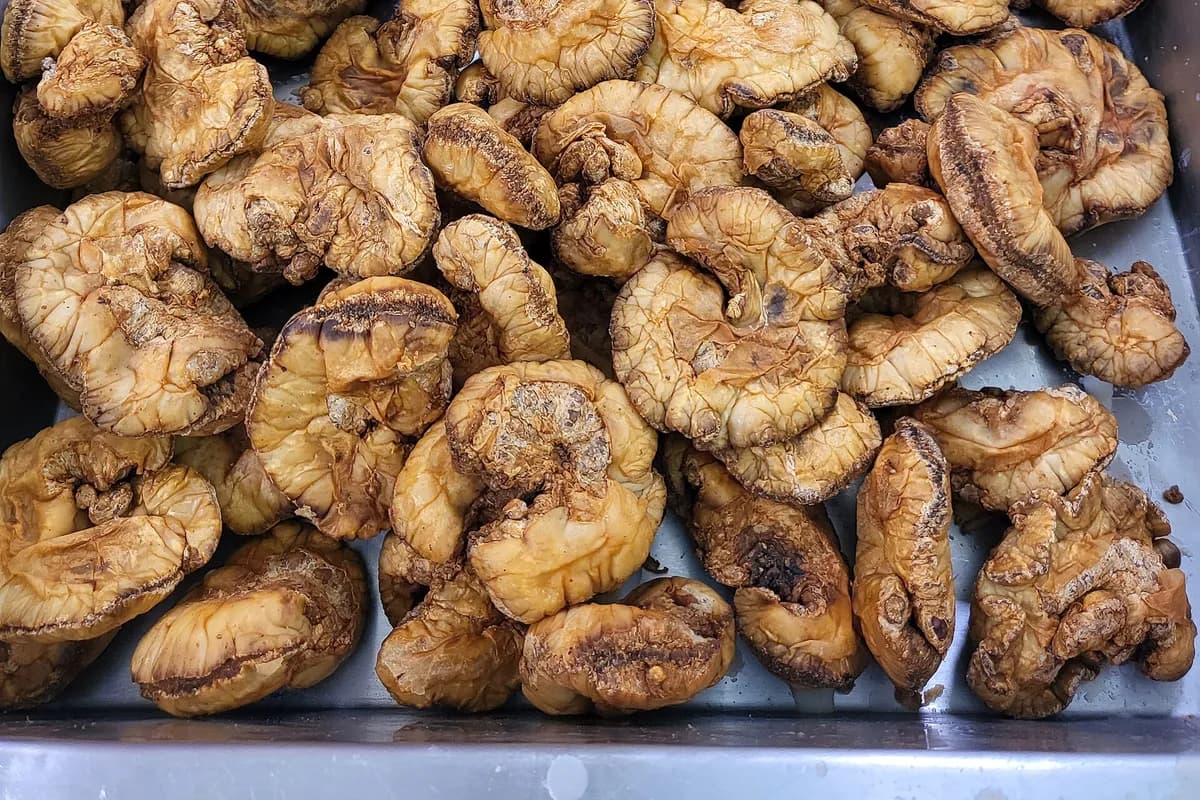 Chicharrones andaluces — receta andaluza de Cádiz